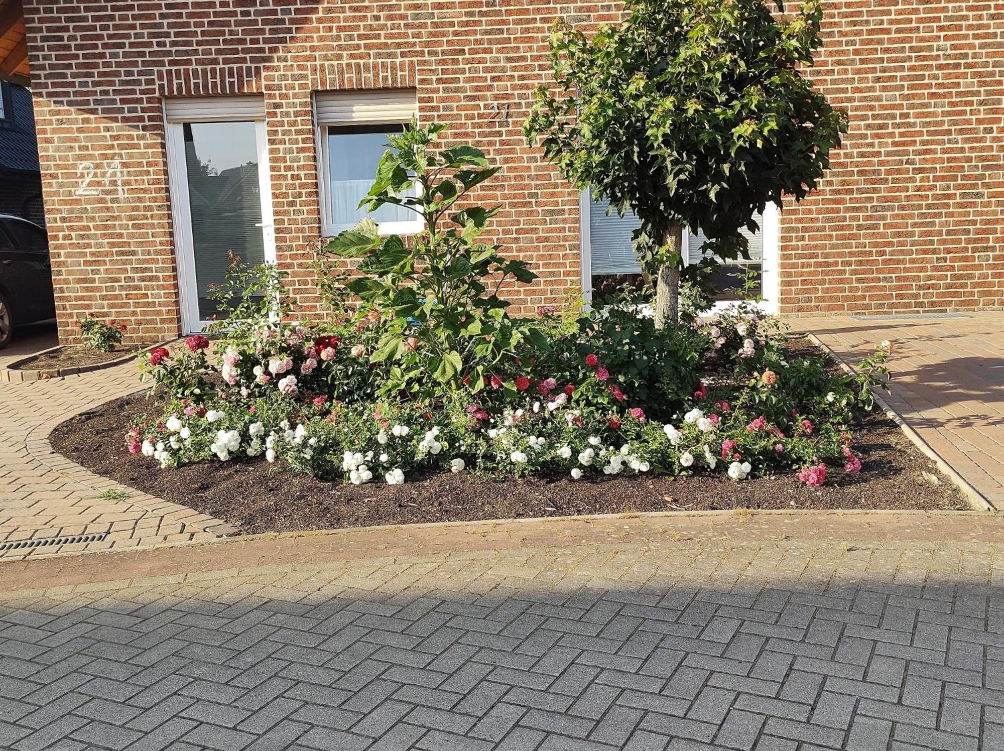 Fewo Holunderbusch Saerbeck Exterior foto